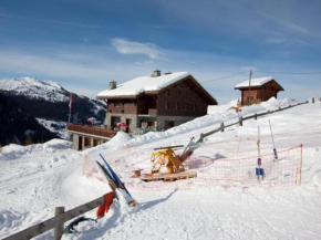 Cosy apartment on the slopes